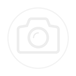 RIFLE 5.5 CO2